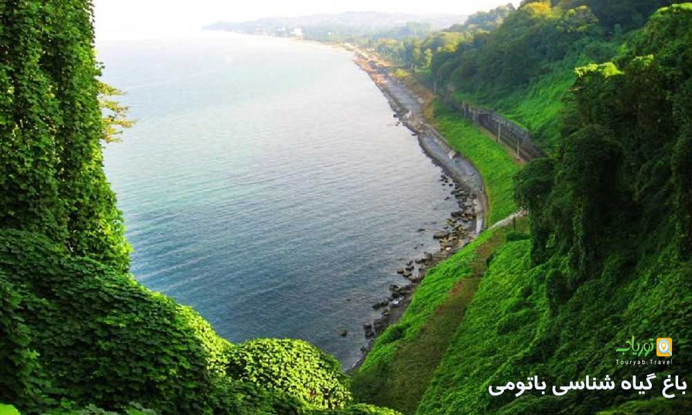باغ گیاه شناسی باتومی(شکوه سبز برای قدم زدن عاشقانه)