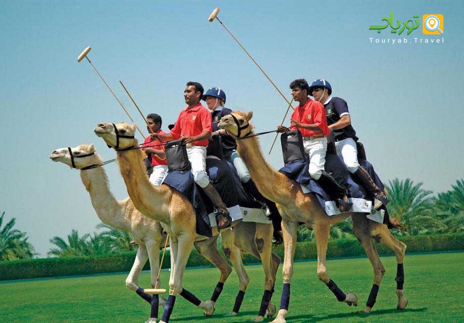 چوگان شتر دبی(کمل پولو)