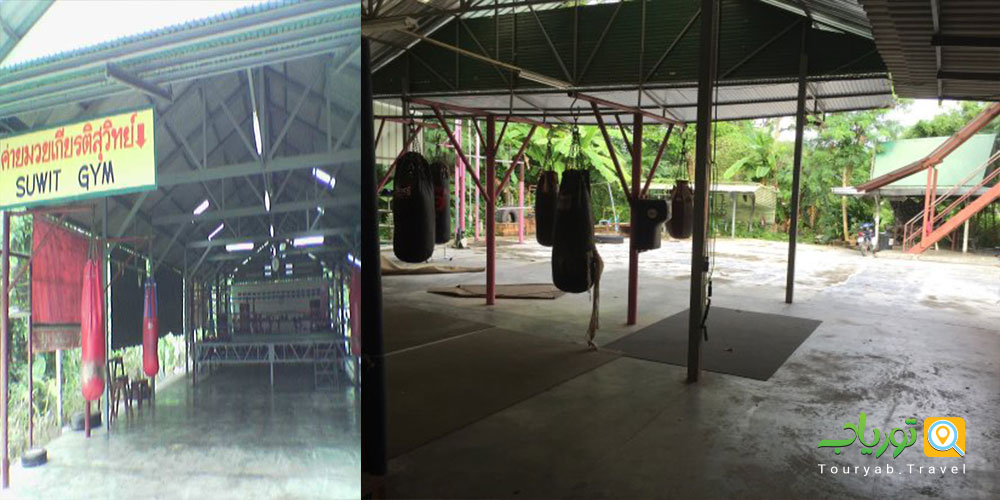 موی تای سوئیت کمپ تایلند(Suwit Muay Thai Camp)