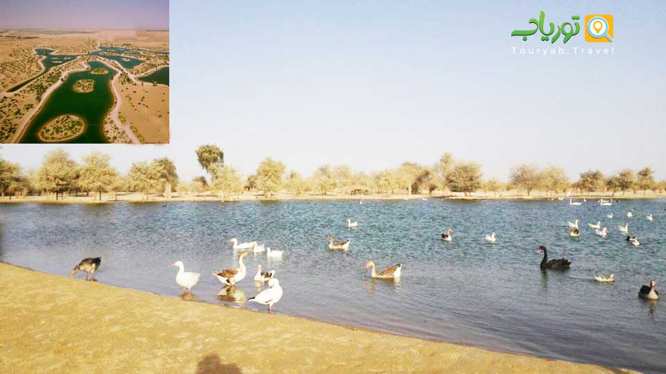 دریاچه القدره دبی(دریاچه مصنوعی دبی)