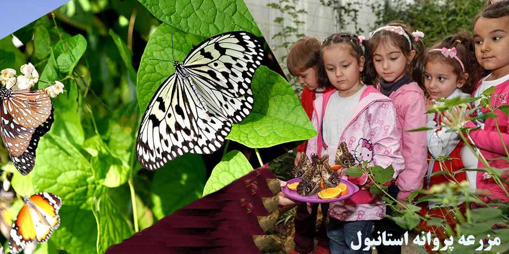 مزرعه پروانه استانبول Istanbul Butterfly Farm بیکوز