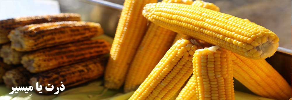 ذرت یا مِیسیر Misir) Corn)