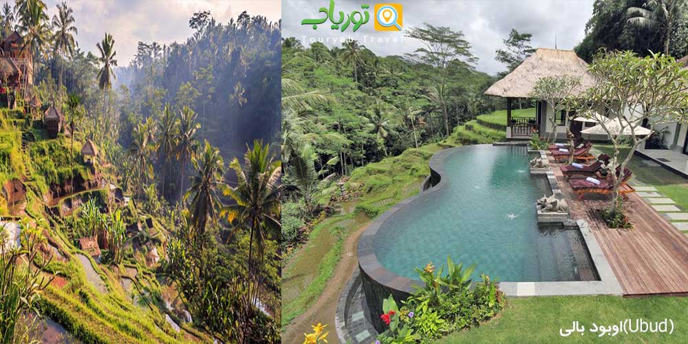 اوبود بالی(Ubud)