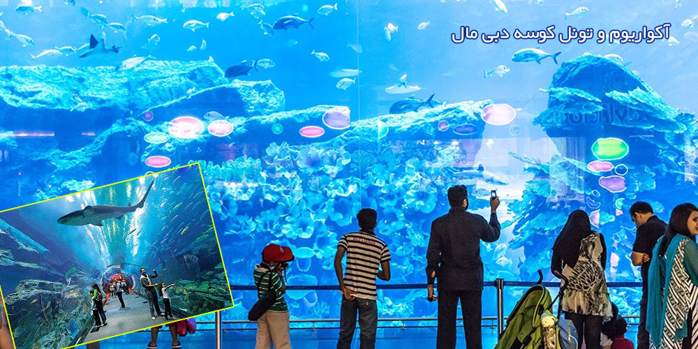 آکواریوم و تونل کوسه دبی مال و باغ وحش زیر آب