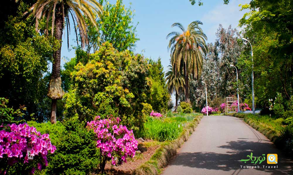 باغ گیاه شناسی باتومی(شکوه سبز برای قدم زدن عاشقانه)