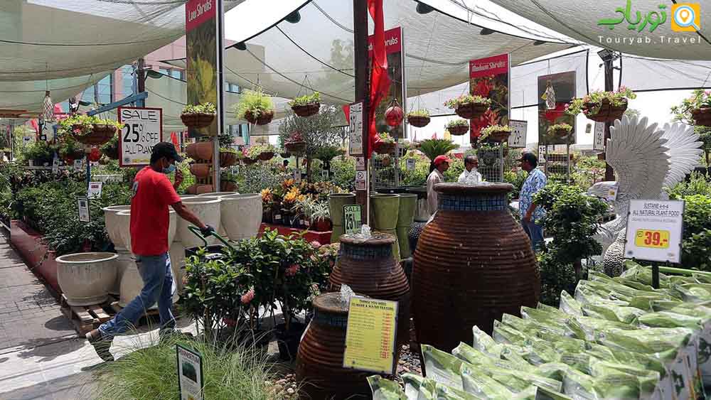 مرکز باغ دبی(خرده فروشی گیاهان و محصولات باغی)
