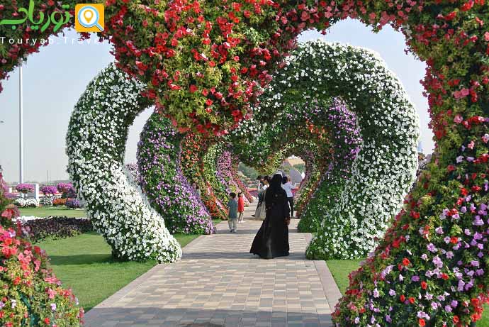 مرکز باغ دبی(خرده فروشی گیاهان و محصولات باغی)