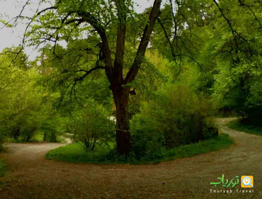 پارک ملی دیلیجان ارمنستان(طبیعت خیره کننده ارمنی)