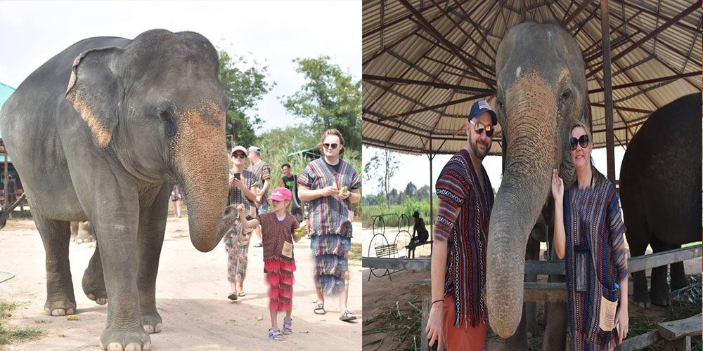 پناهگاه جنگل فیل ها در پاتایا(Elephant Jungle Sanctuary)