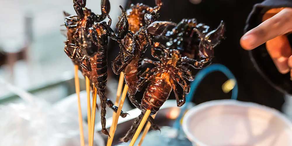 عقرب ها (مانگ پاونگ)Scorpions