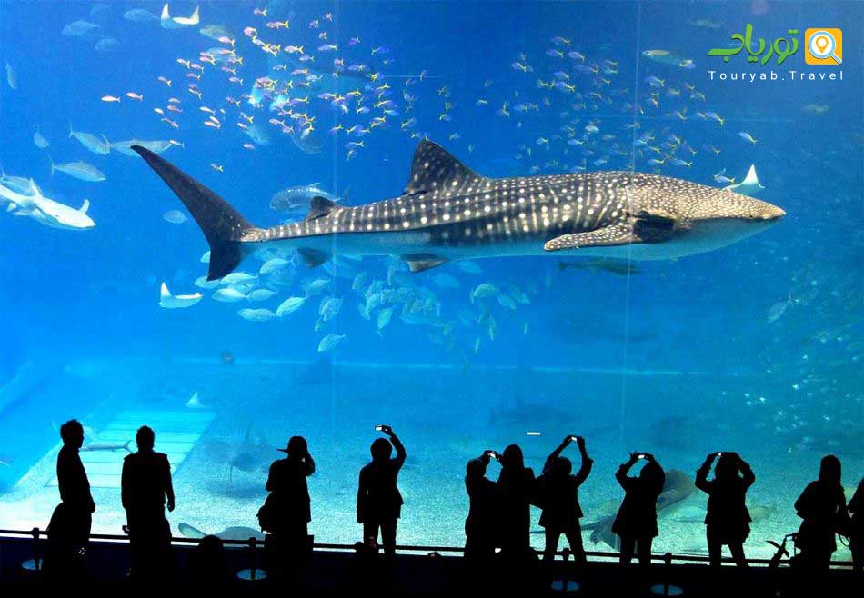 Sea Life Bangkok Ocean World